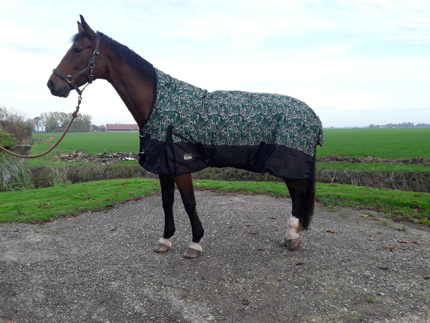 Luksueuze 300 gram reindeken mei heale hals Griene/swirl bûtendeken