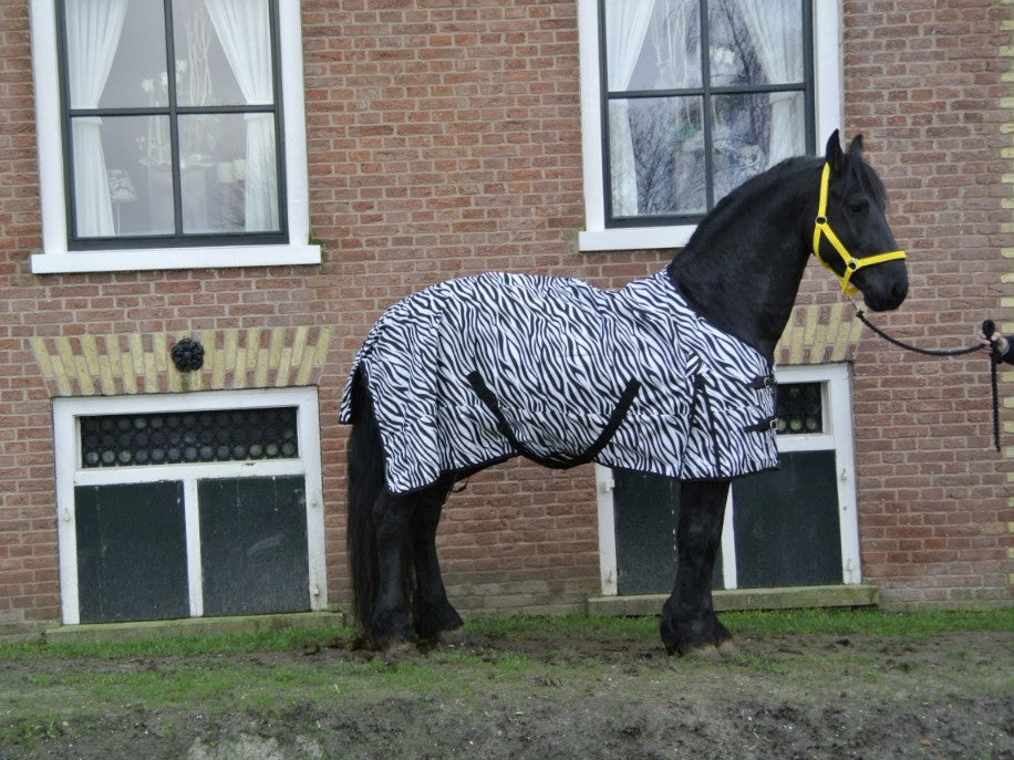 Deluxe reindeken 0 gram hynstedeken mei Zebraprint en fleecefoering