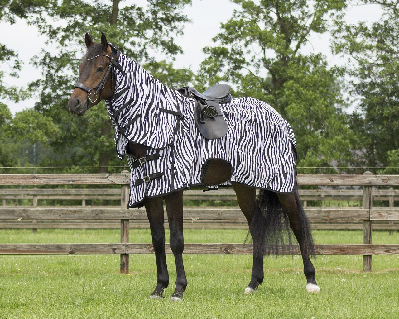 QHP Vliegenrijdeken met losse hals Zebra