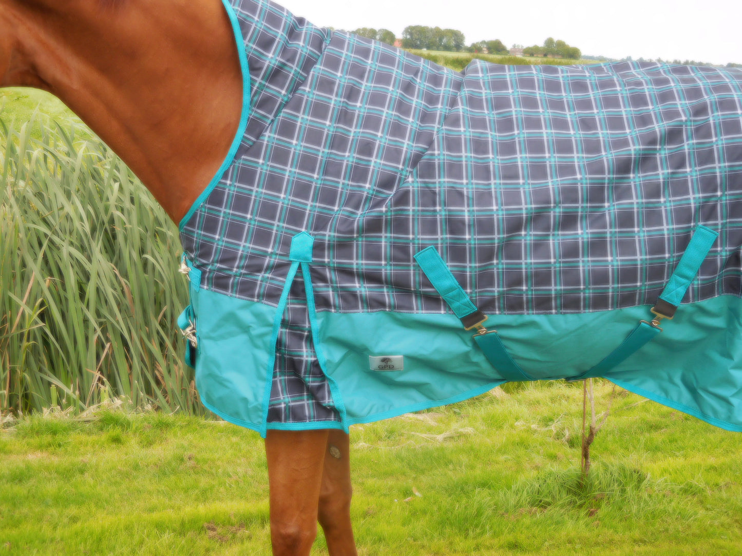 Couverture pour cheval Thor 300gr à col montant noir de jais