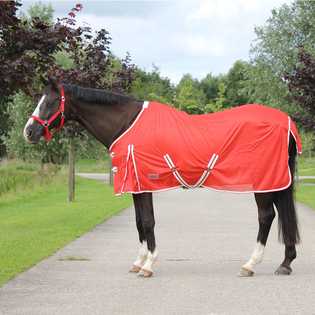 Vliegendeken Color Rood qhp