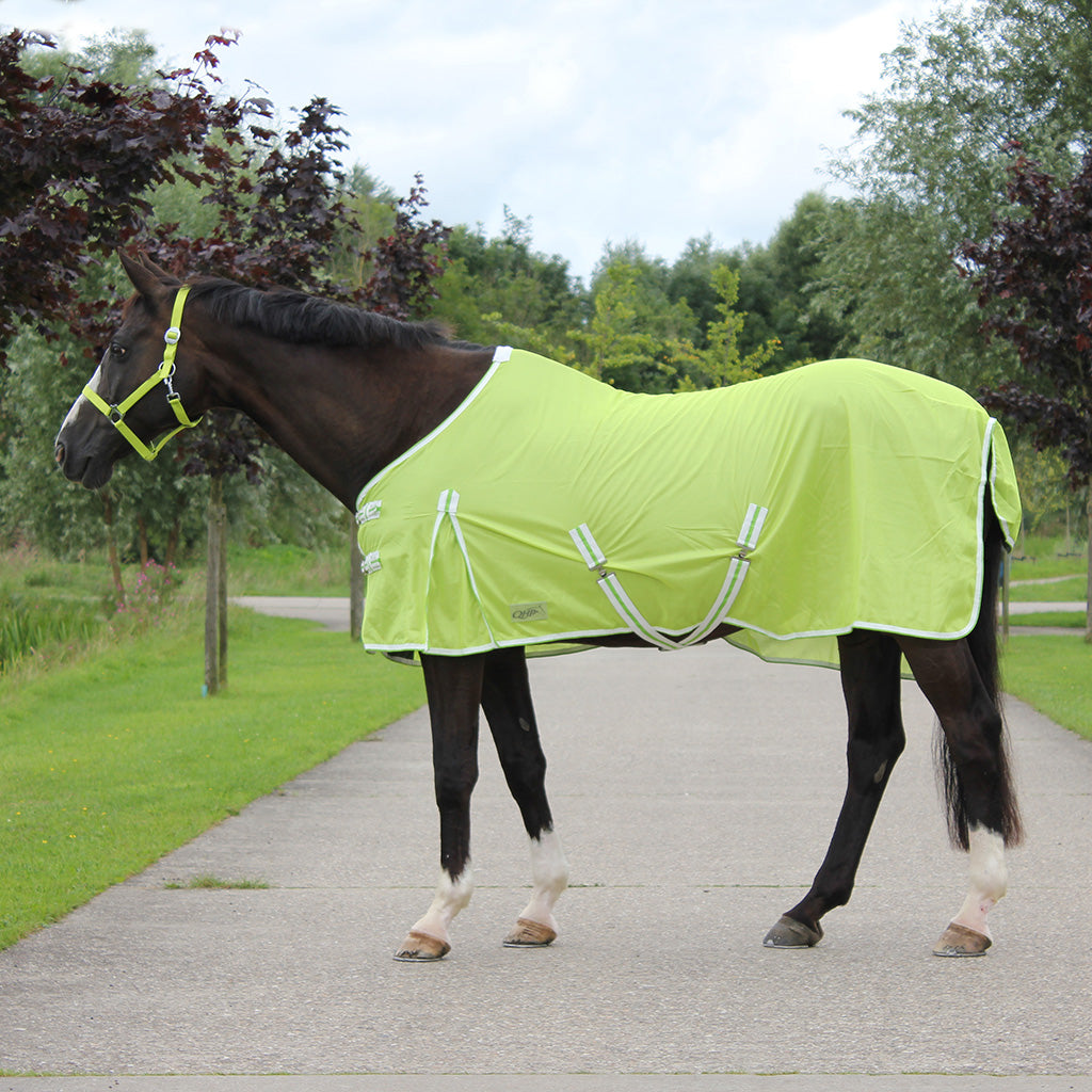 Vliegendeken Color Lime