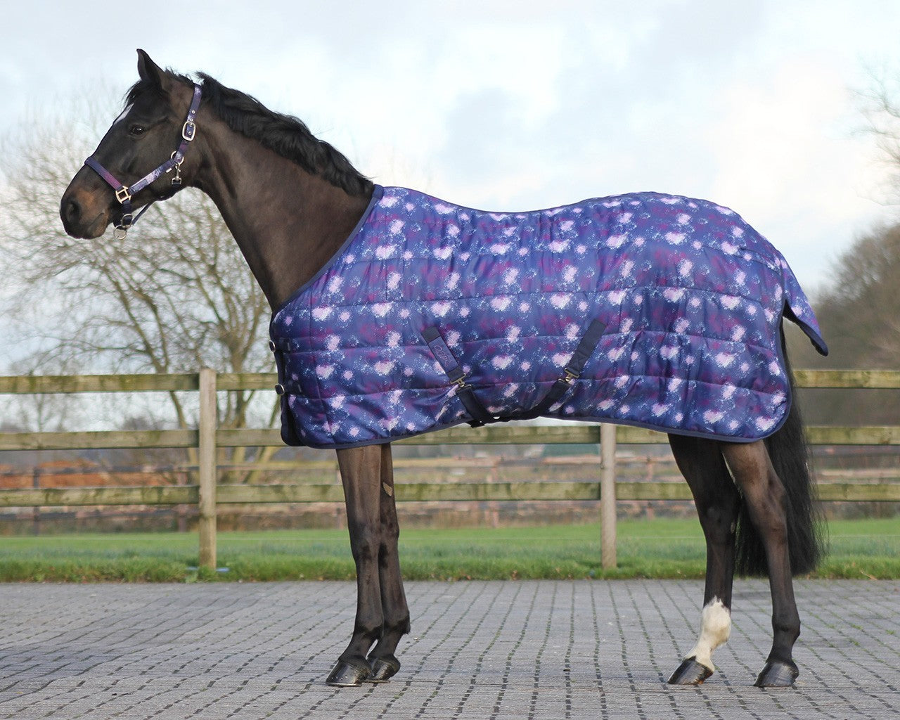 Staldeken Nylon 300 gram Universe paardendeken