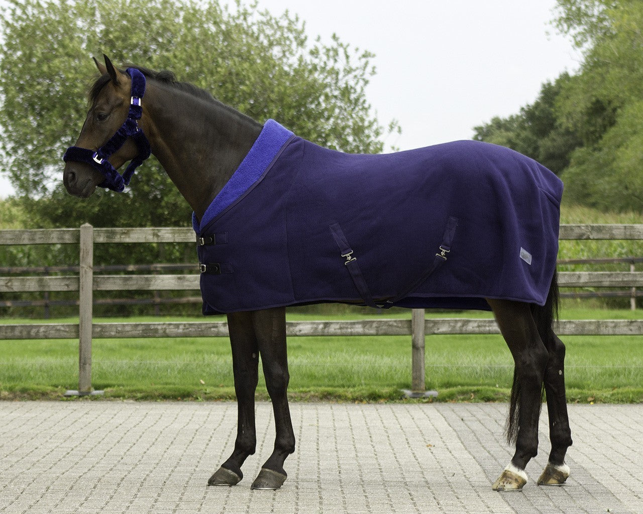 Alaska teddyfleece navy/blauw paardendeken