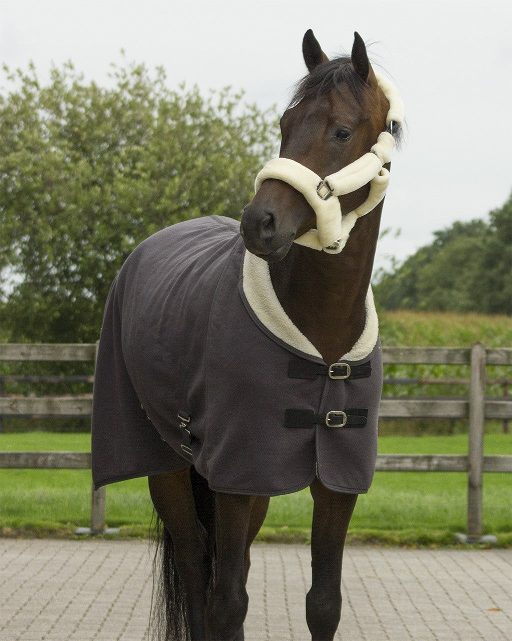 Alaska teddyfleece grijs/creme paardendeken
