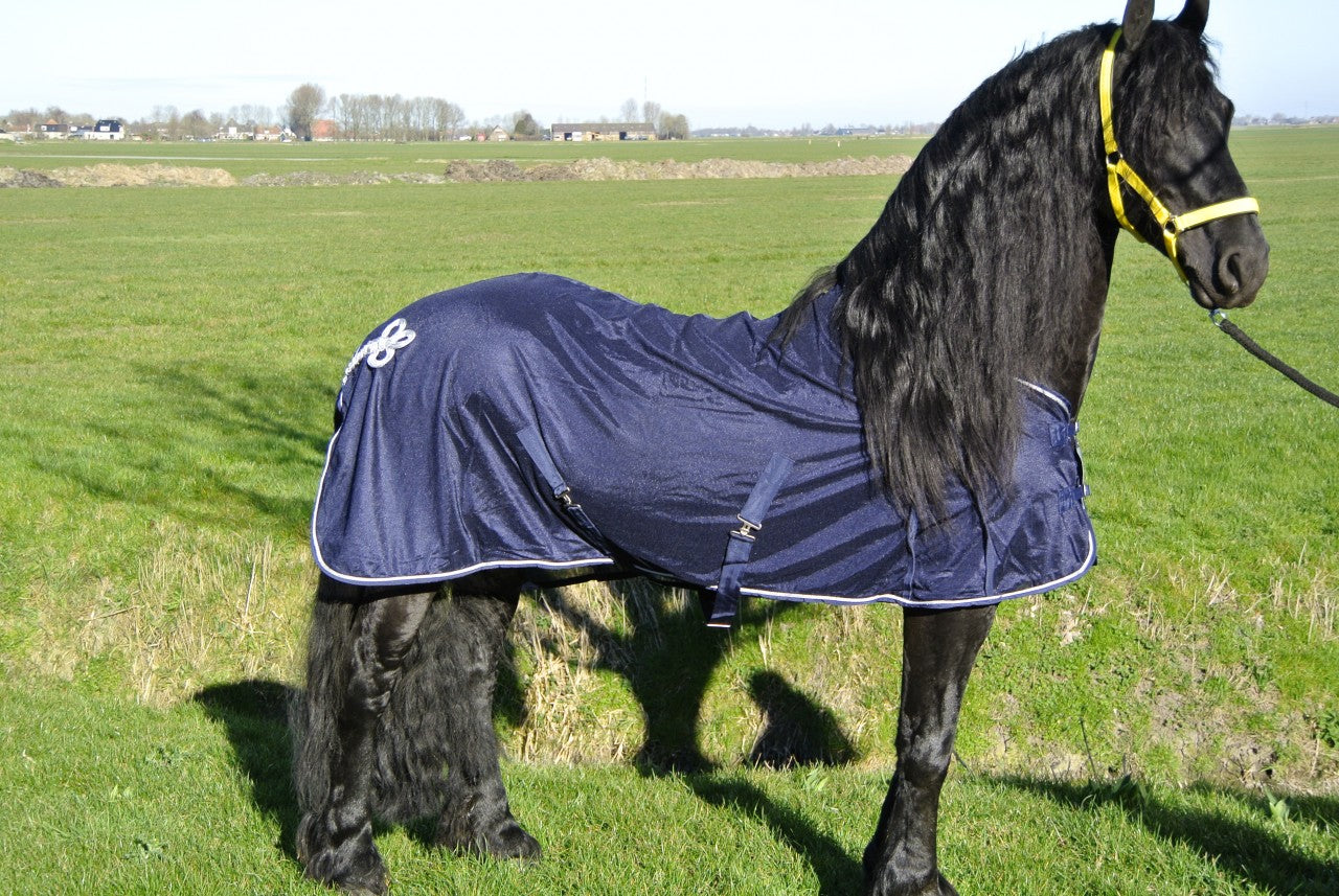 Vliegendeken met ornament blauw