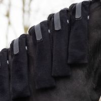 Manen beschermers L of XL (set van 4)