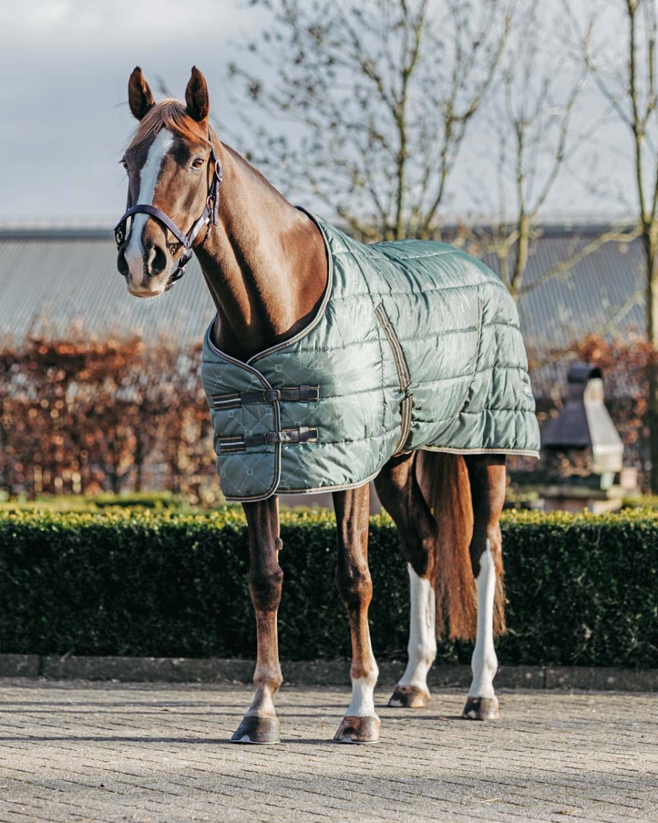 Staldeken start 200gram Stirrup