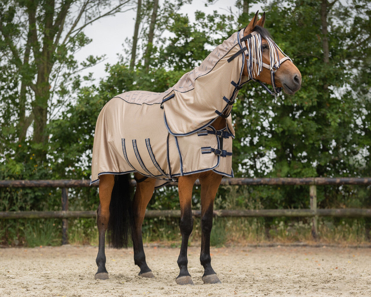 Deken vliegen met waterdichte Bovenkant en nek kleur Focus