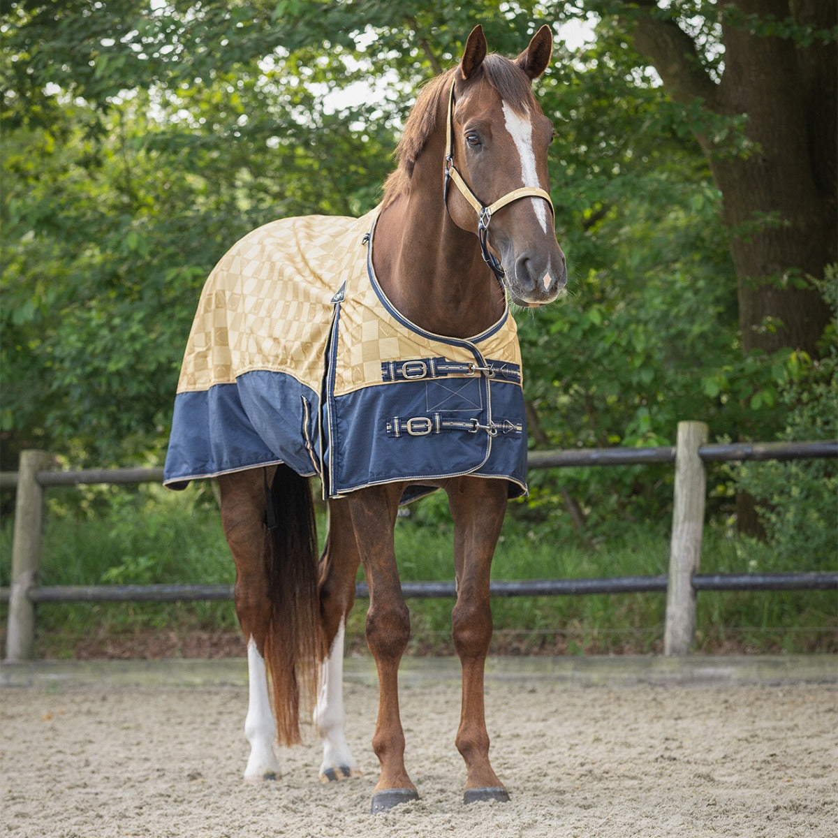 Regendeken luxe 0 gram Met fleece voering Sandy Beach paardendeken