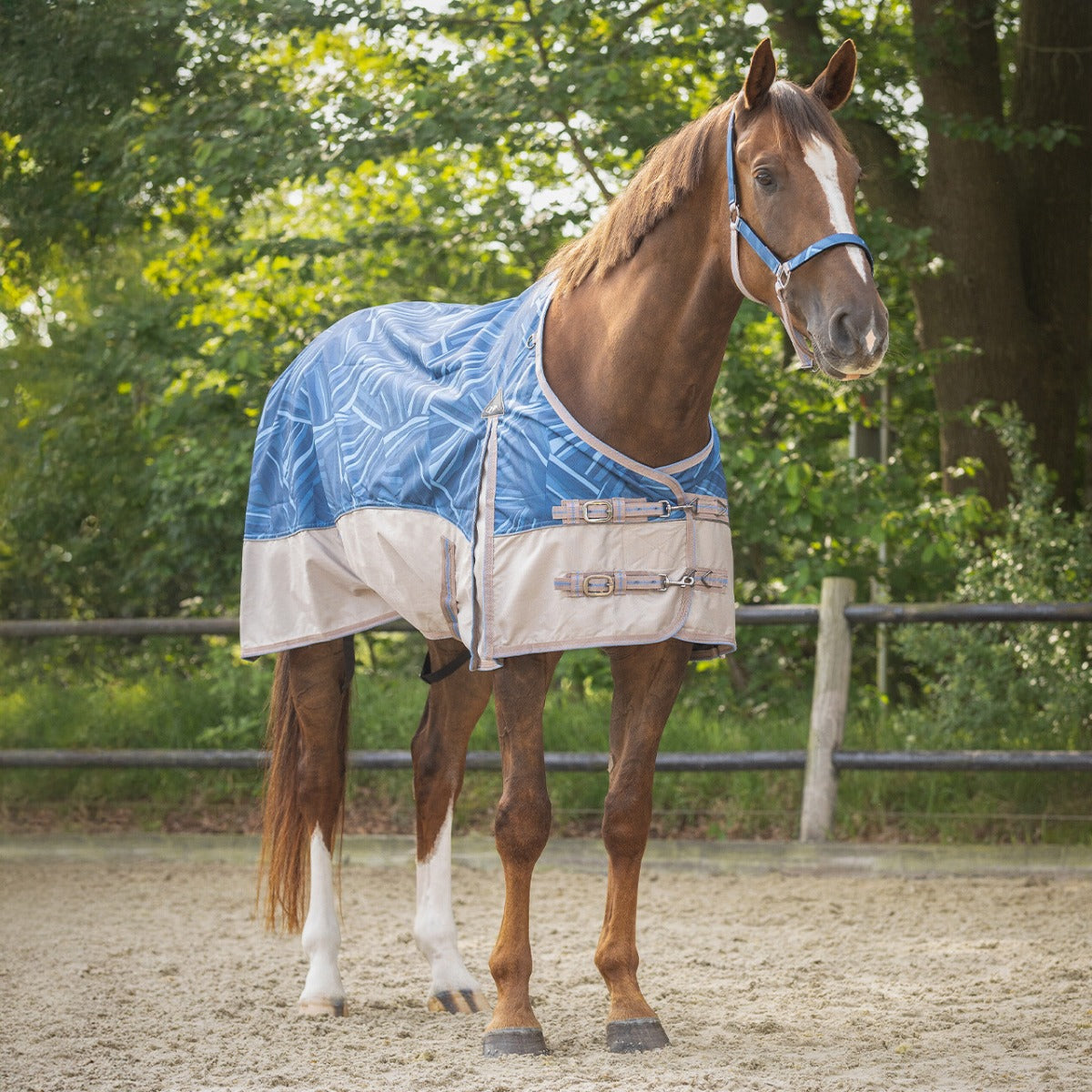 Regendeken turnout collection 0gram seashell