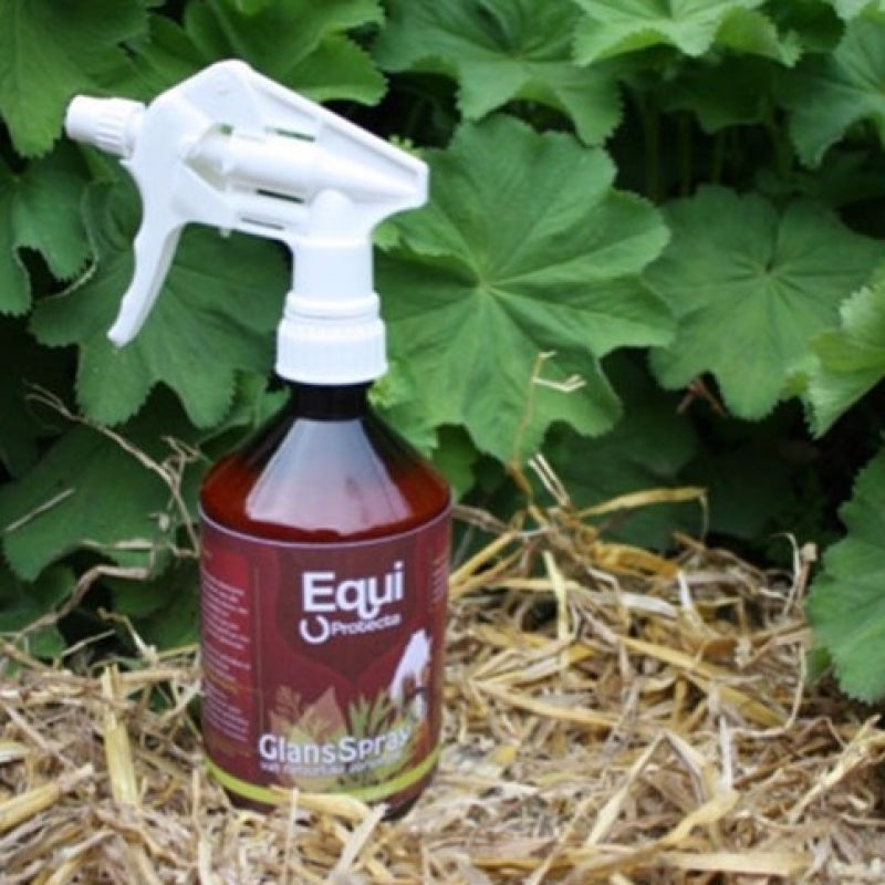 Glansspray biologisch