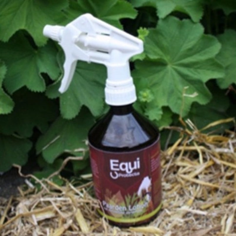 Paardenlotion