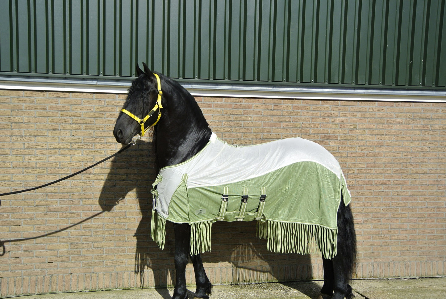 vliegendeken met Franjes en buikflap