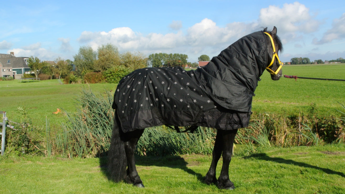 Regendeken luxe 450 gram ster