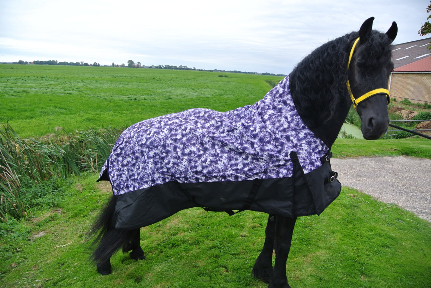 Regendeken luxe 150 gram met Halve hals Zwart/paars buitendeken