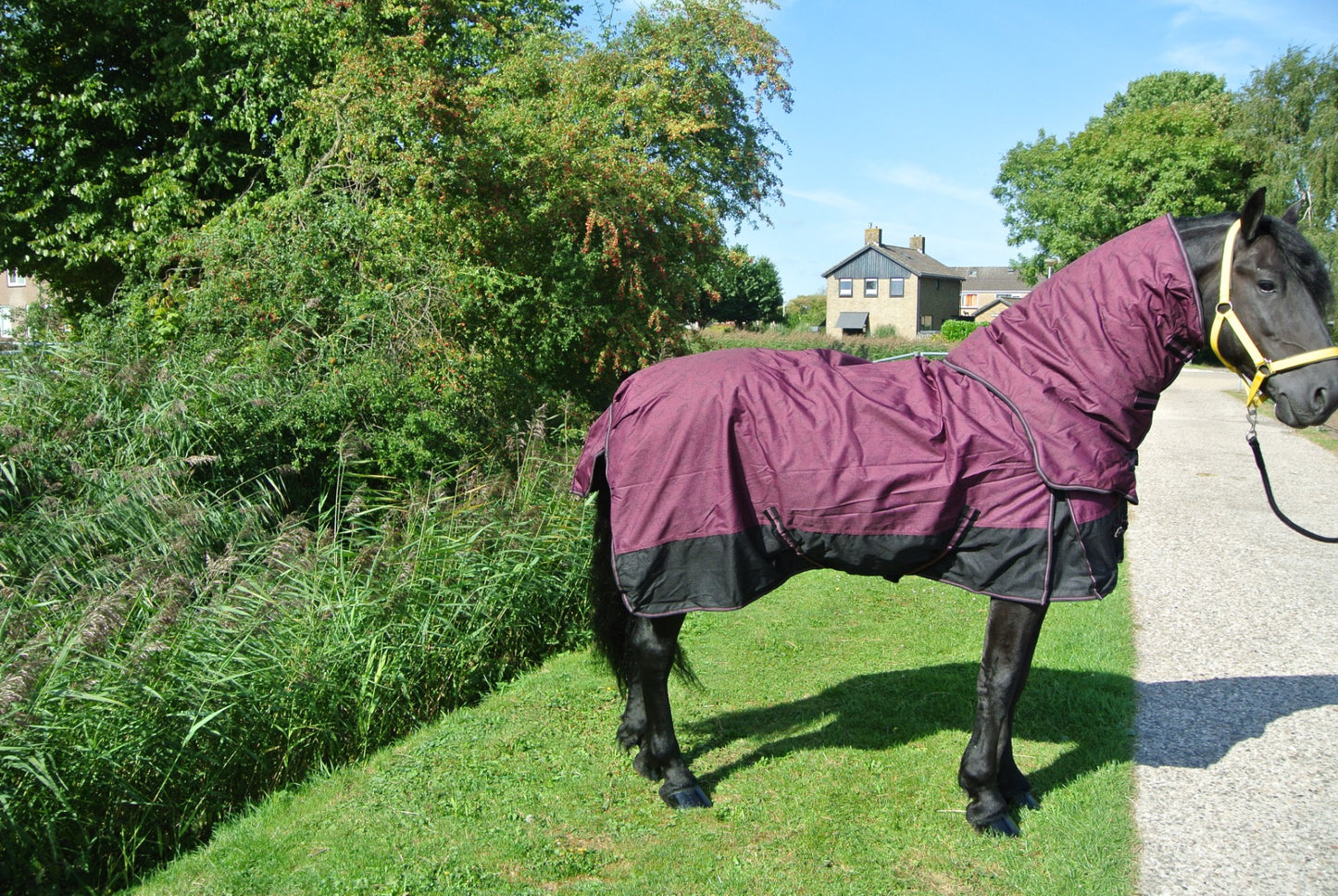 Couverture imperméable 150 grammes avec col amovible noir/rouge vin