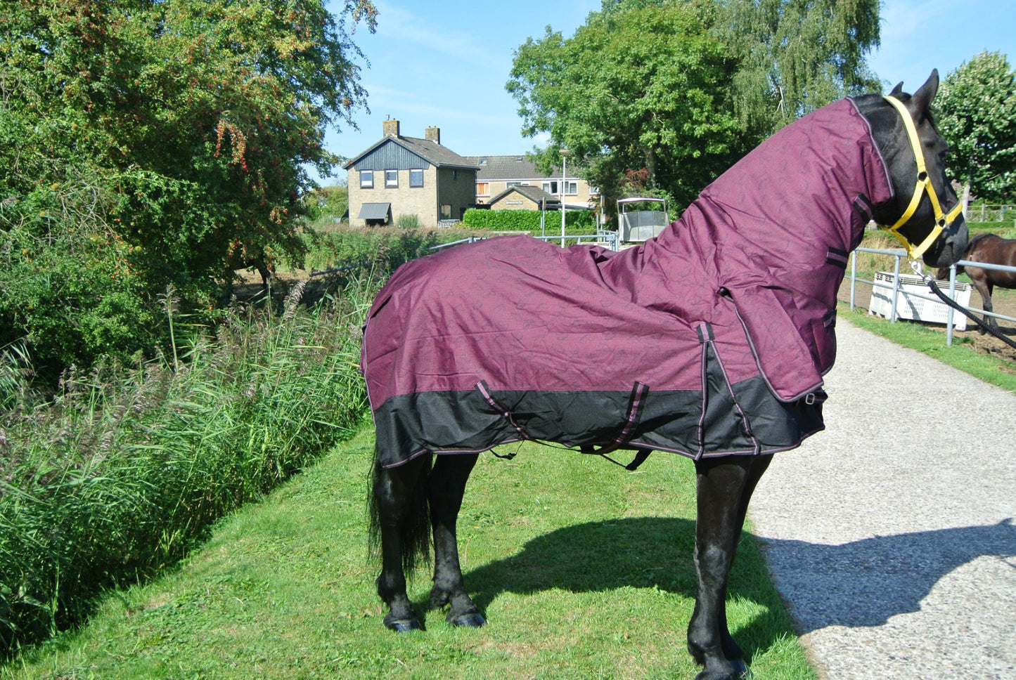 Regendeken luxe vaste hals 300gram zwart/wine red Buitendeken