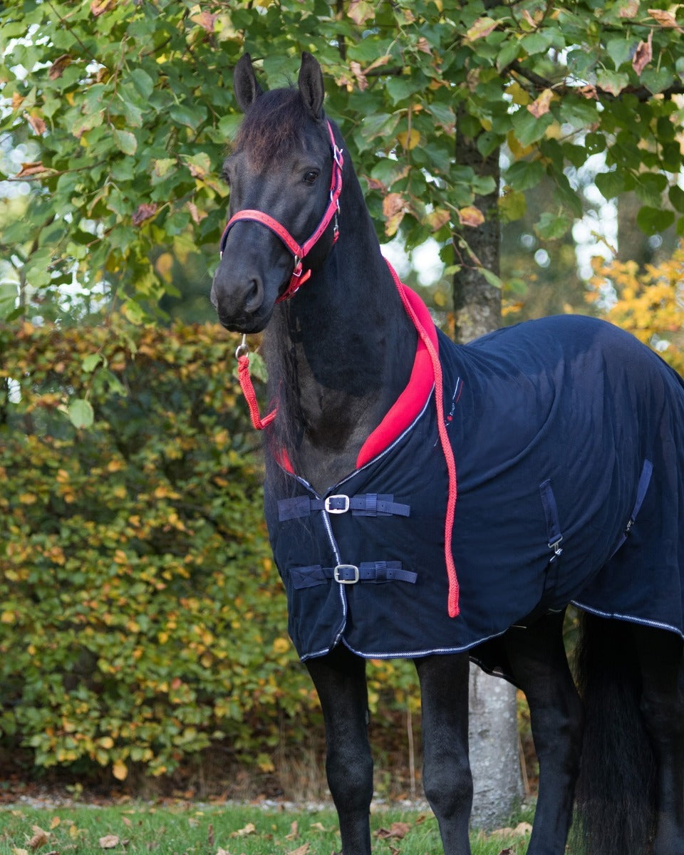 Showdeken Q Friesian