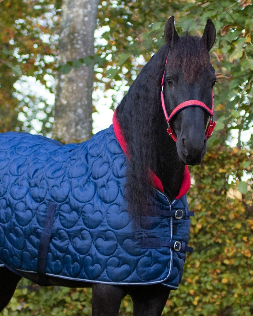 Staldeken Q Friesian 250gr