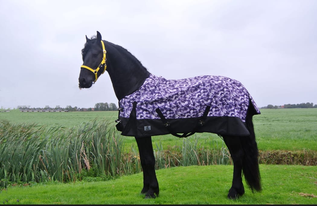 Regendeken de luxe 0 gram met fleecevoering Zwart/paars