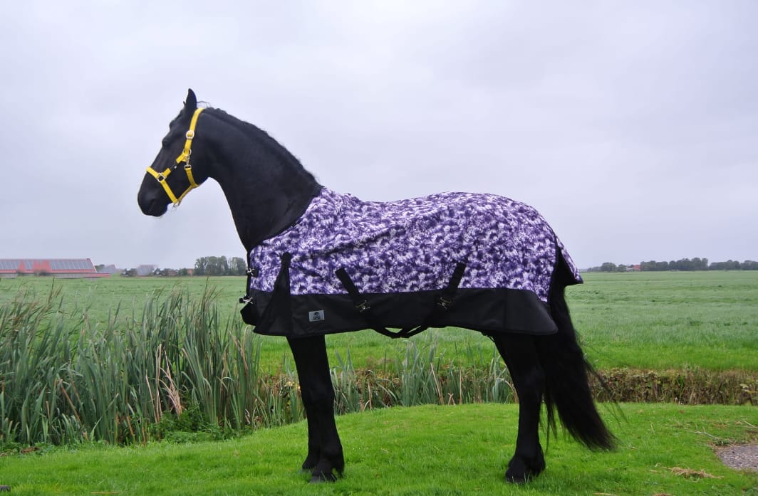 Couverture imperméable de luxe 150 grammes, noire/violette, pour chevaux
