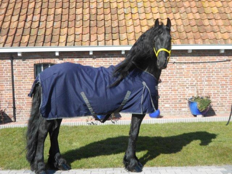 Couverture d'été professionnelle.