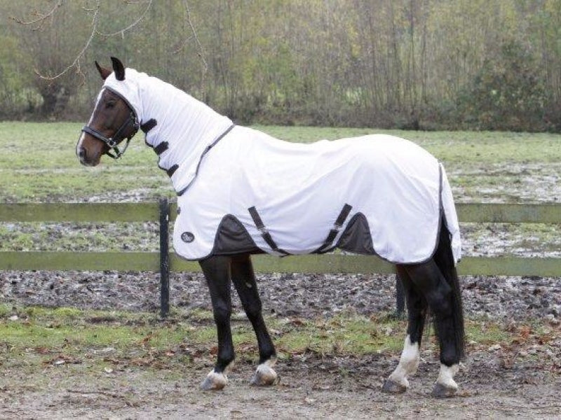 Harry Horse Fly scheet met hals   