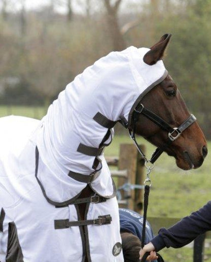 Harry Horse Fleandoek mei hals