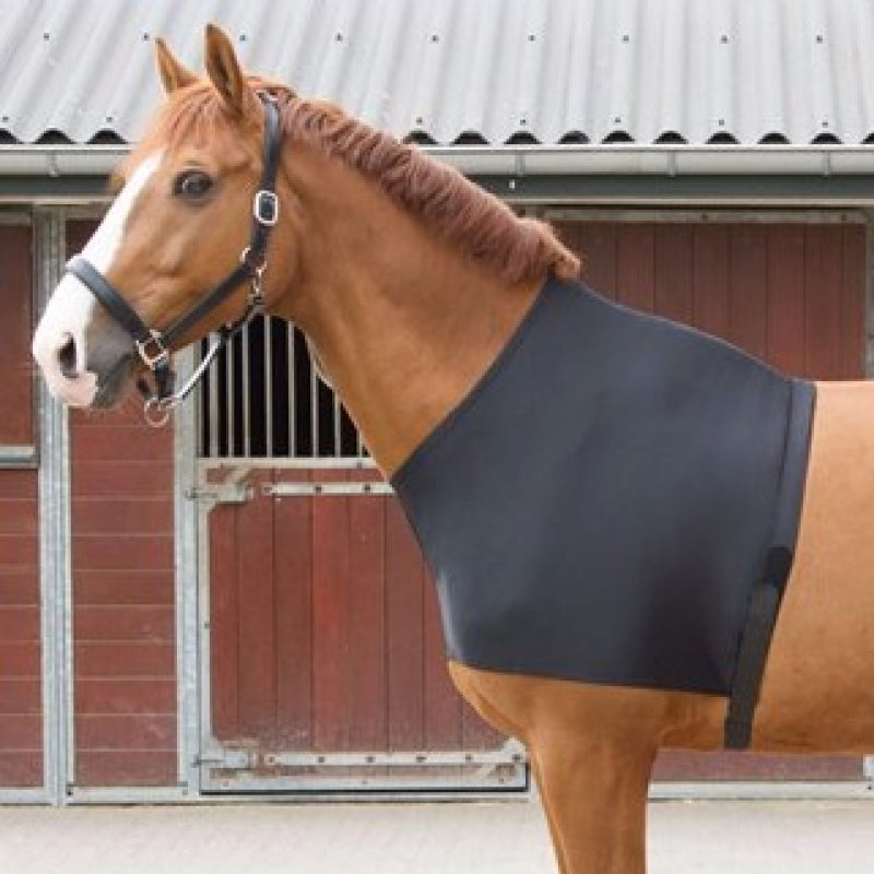 Harry Horse Lycra borstbeschermer.  
