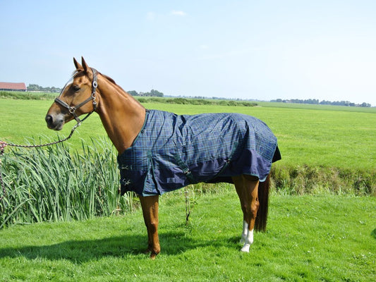 Buitendeken 300 gram Blauw geruit
