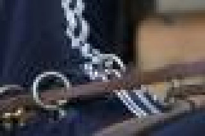 Couverture anti-mouches pour harnais + cou bleu