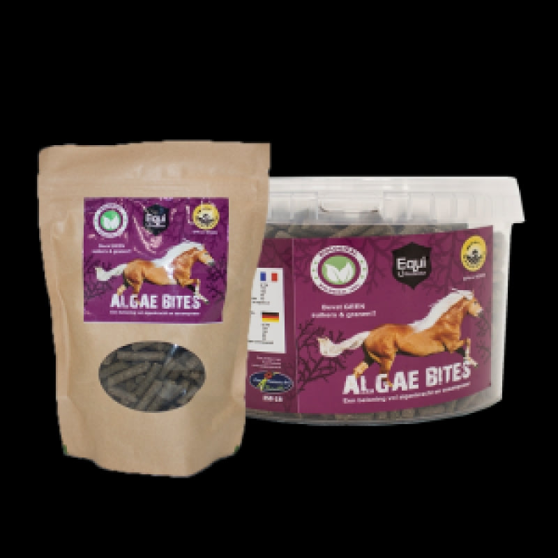 Algae Bites