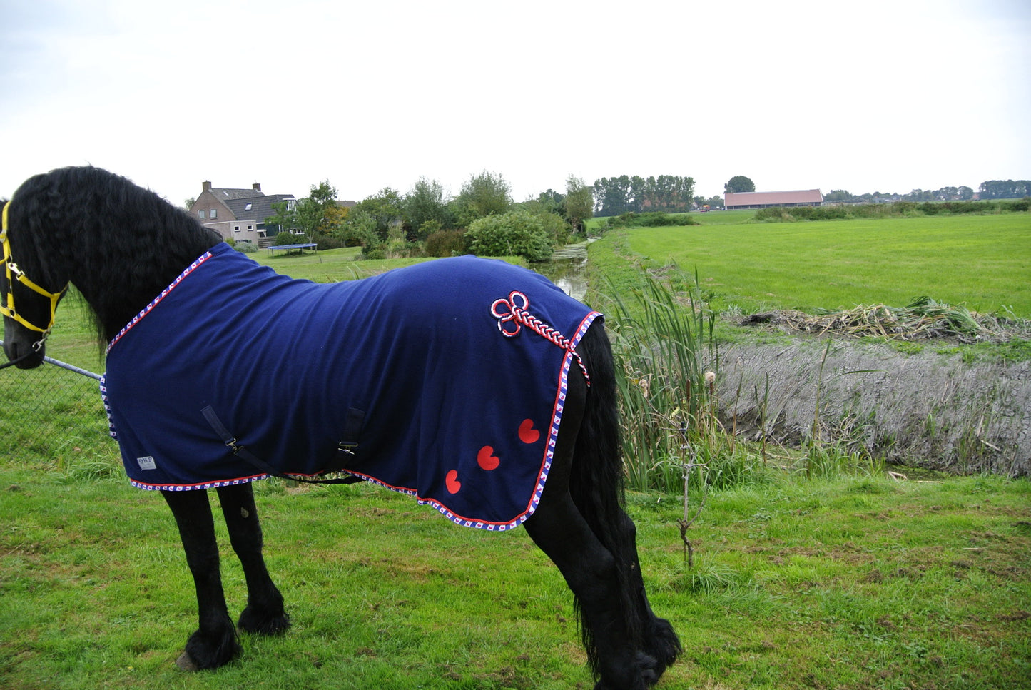 lúkse Fleece deken Fryslan Boppe hynstedekken