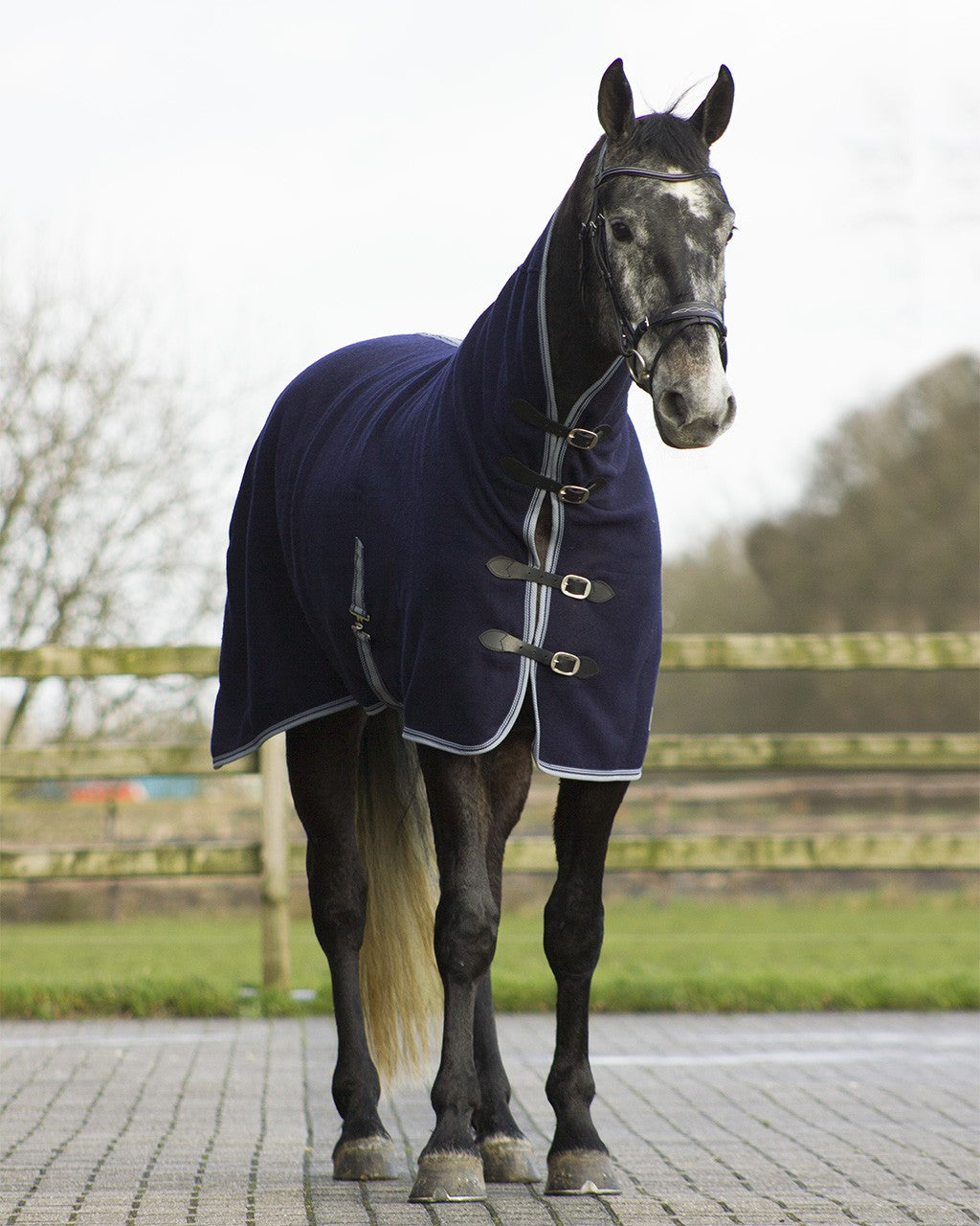 Couverture en laine QHP avec sangles et couverture pour le cou du cheval