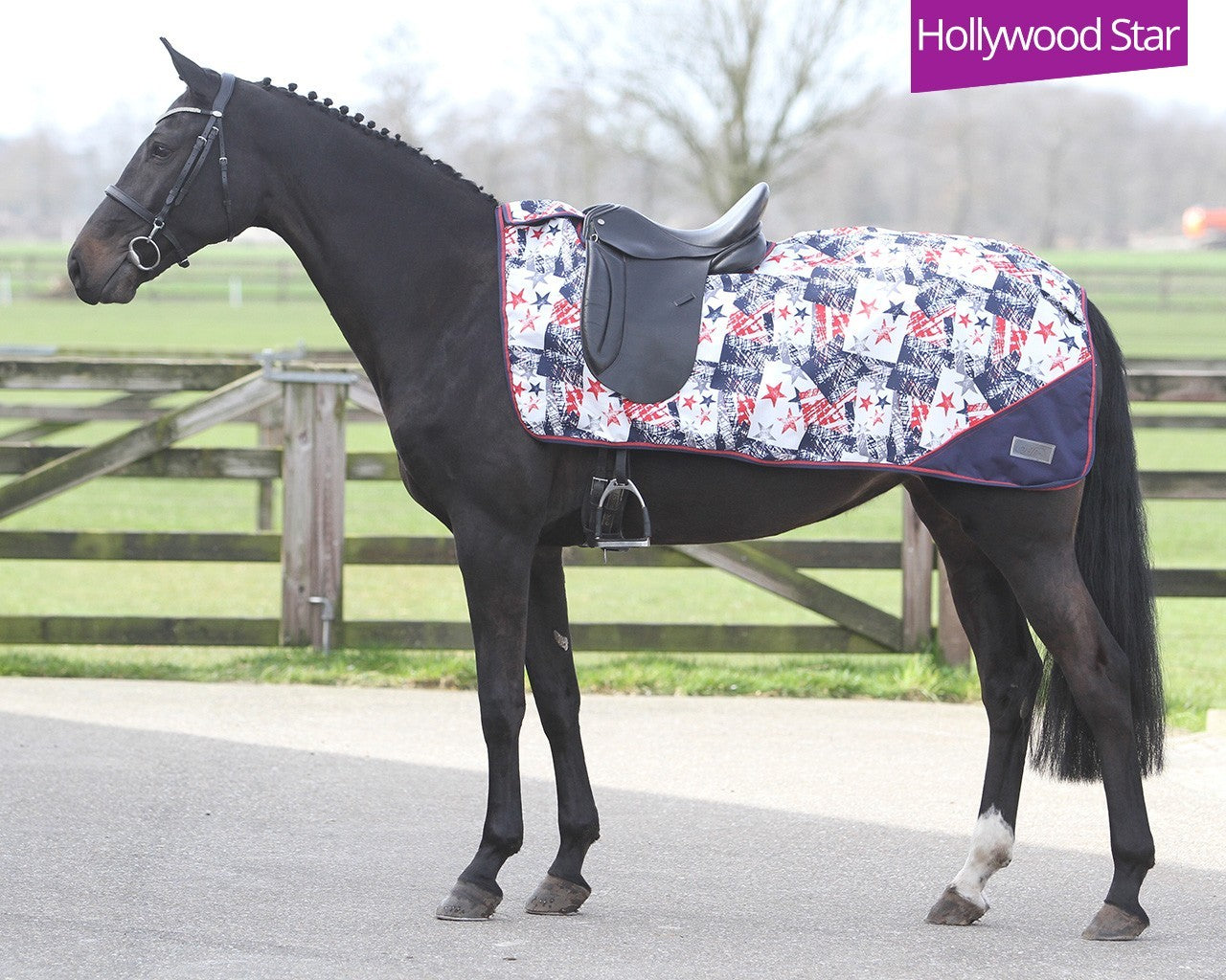 Uitrijdeken turnout luxe fleece Hollywood Star