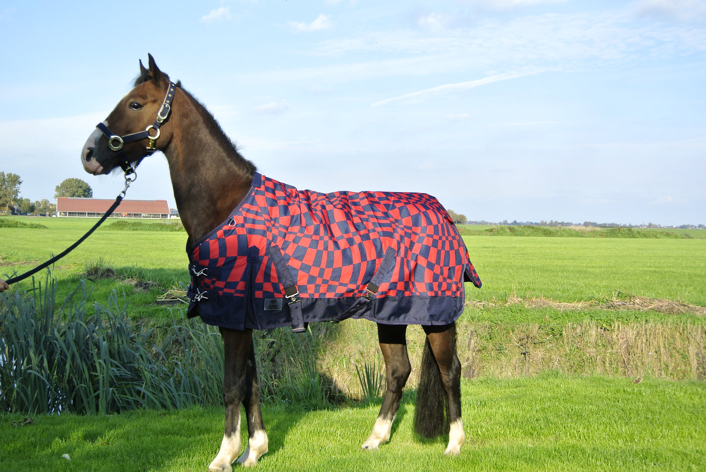 Buitendeken 300 gram rood/blauw 