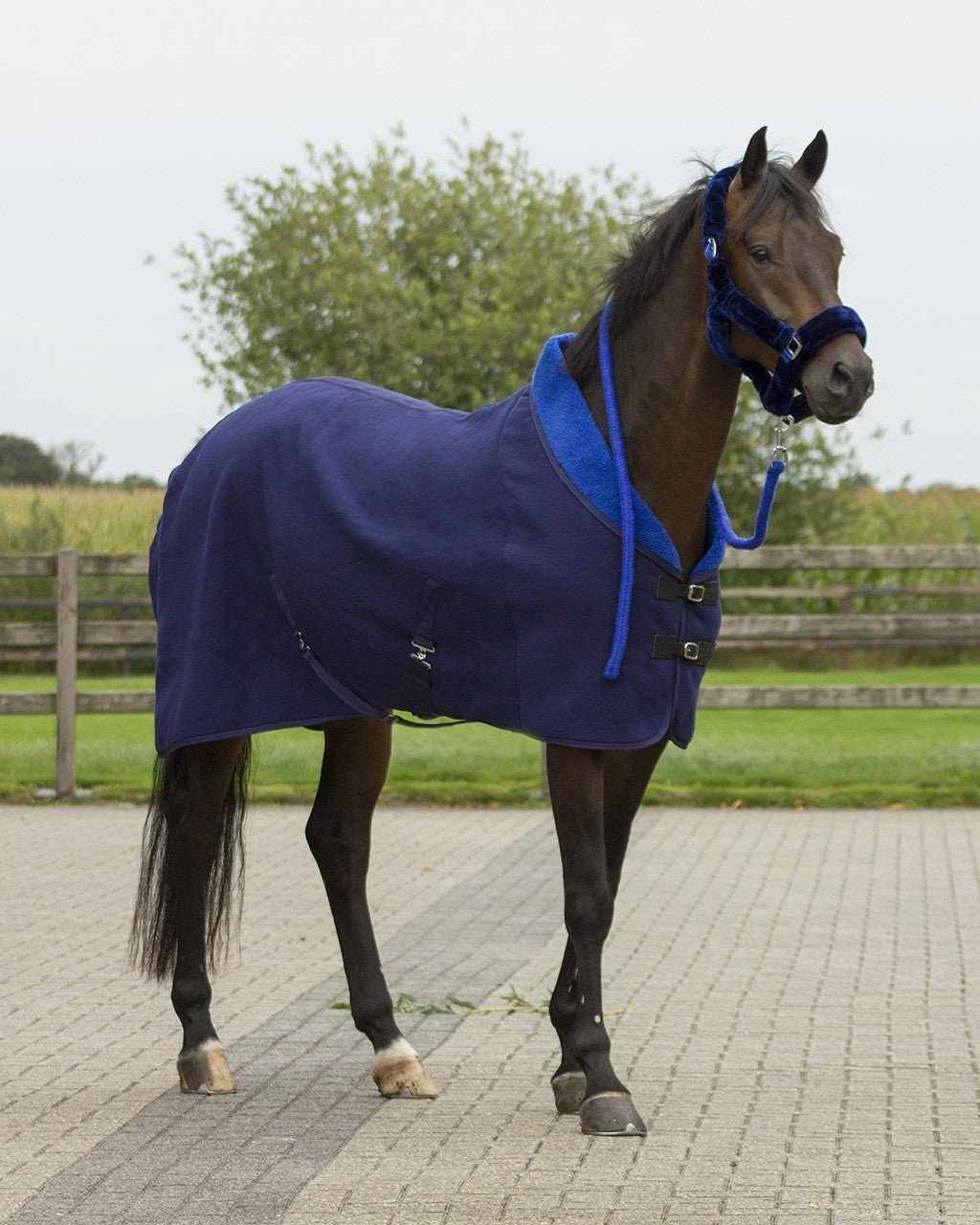 Alaska teddyfleece zwart/rood paardendeken