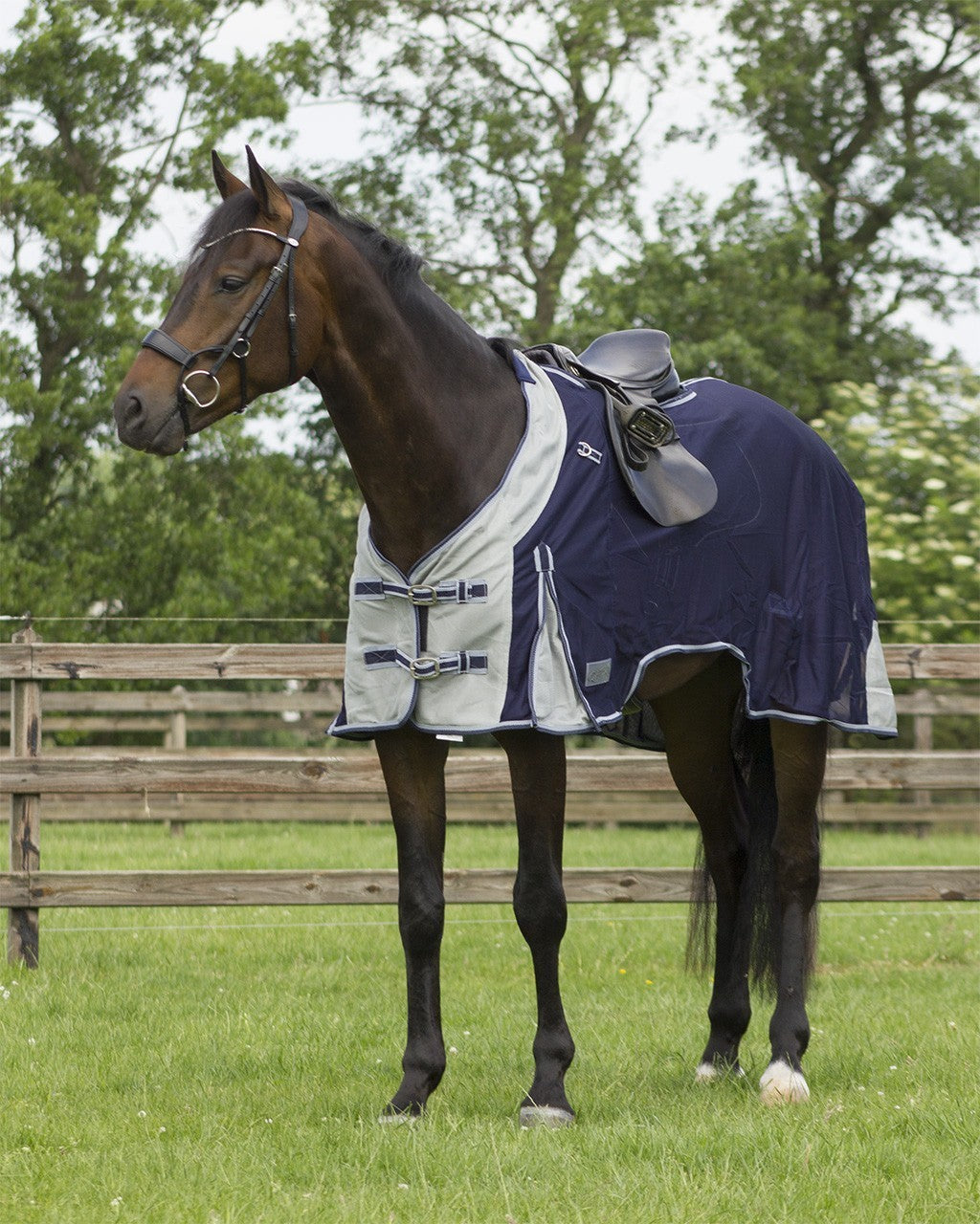 Tapis anti-mouches avec col lâche bleu qhp