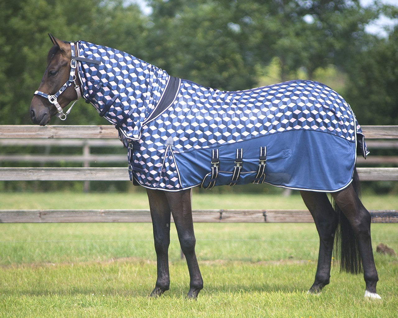 Couverture anti-mouches confortable avec encolure fixe et couverture hexagonale QHP pour chevaux