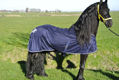 Vliegendeken met ornament  blauw