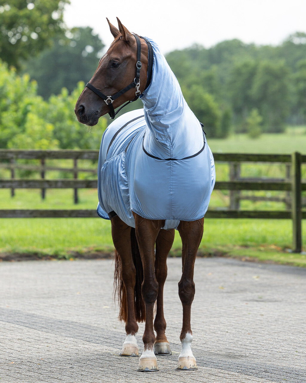Eczeemdeken Steel Blue