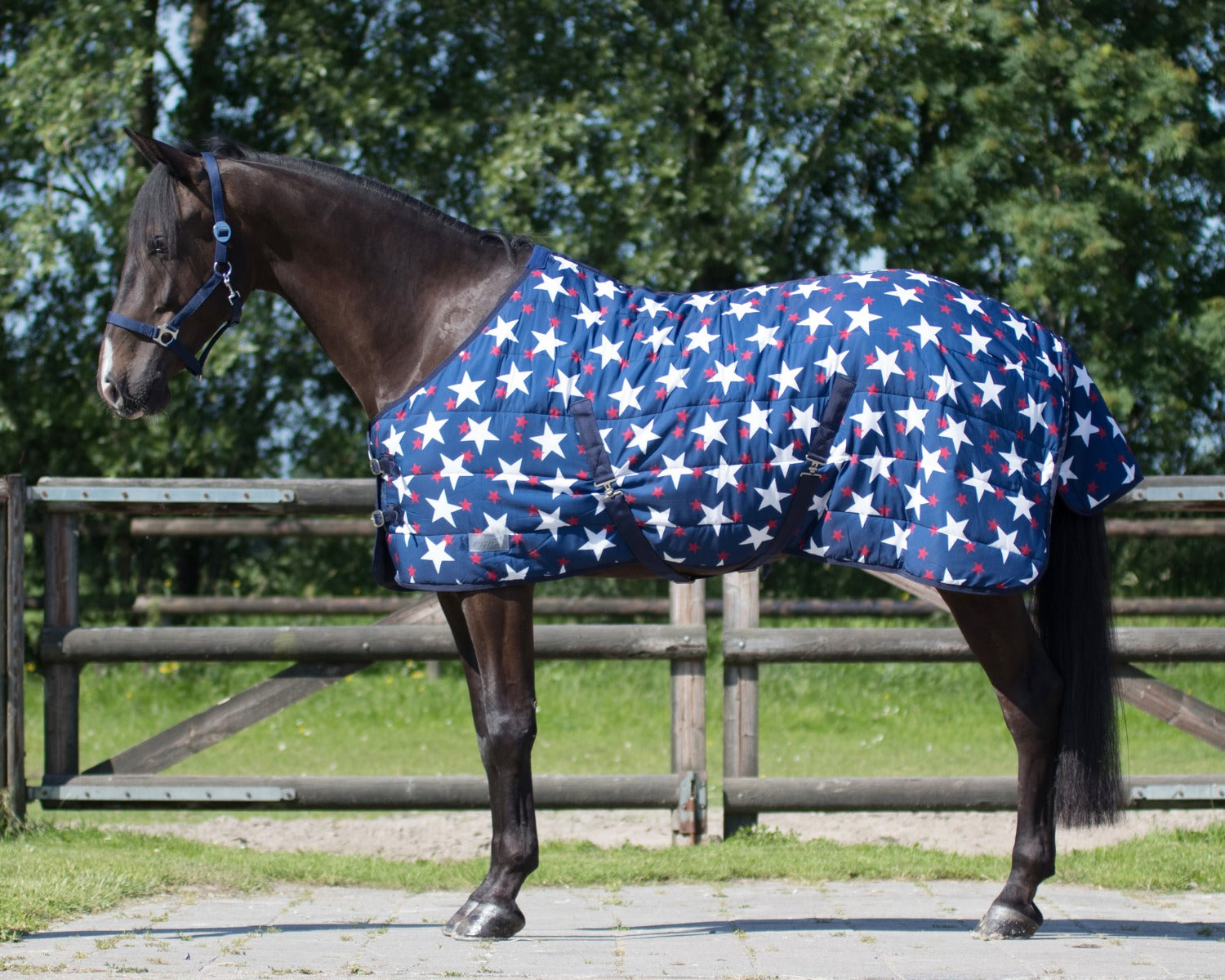 Staldeken Nylon 300 gram Star