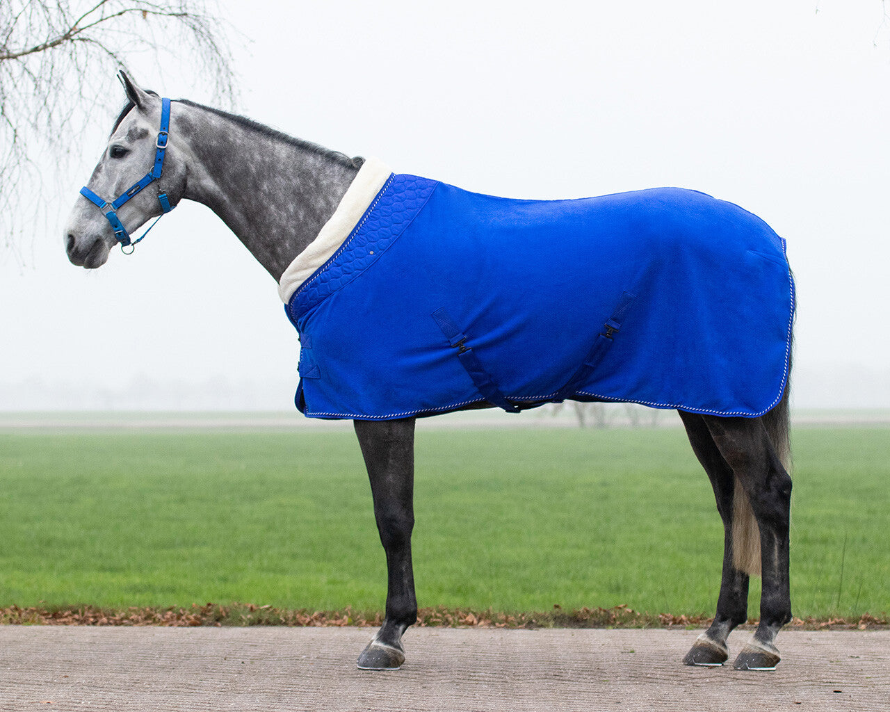 Fleece tekken Brilliance Victoria blau 