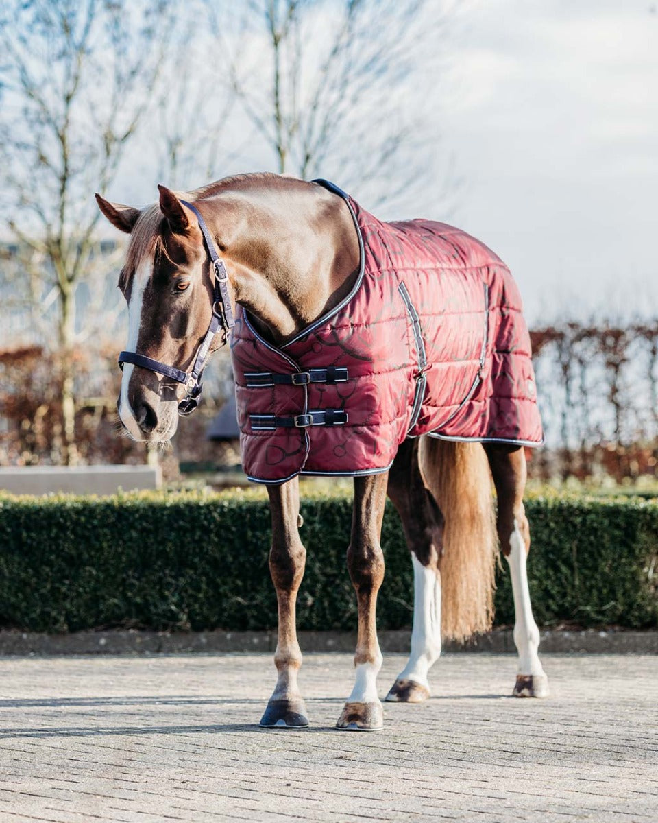 Staldeken start 200gram Saddlery