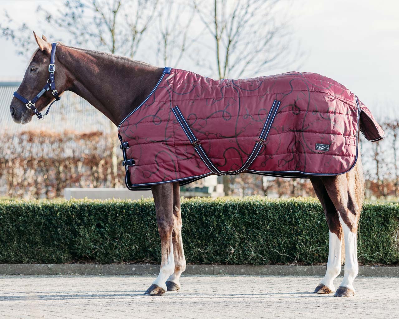 Staldeken start 200gram Saddlery