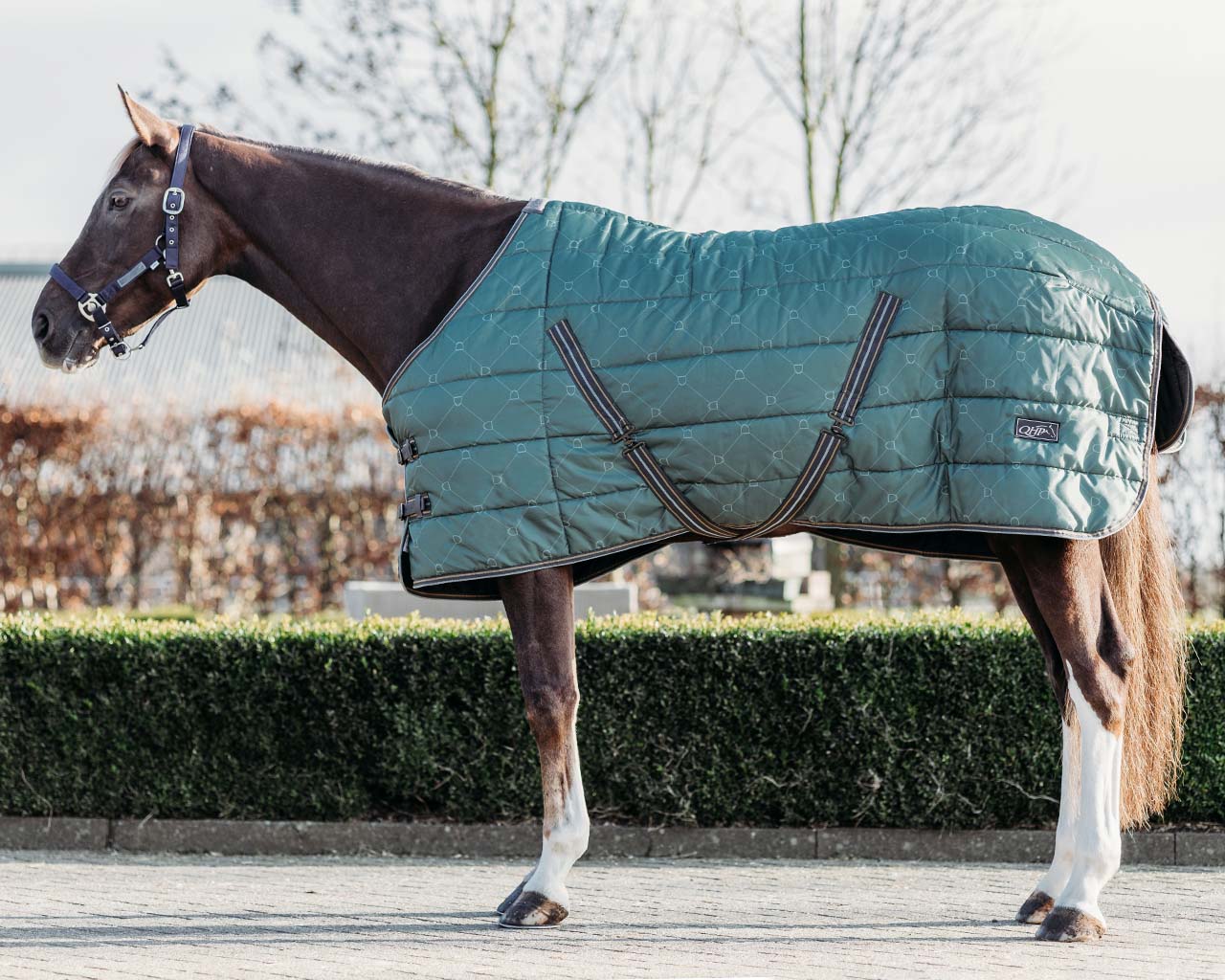 Staldeken start 200gram Stirrup