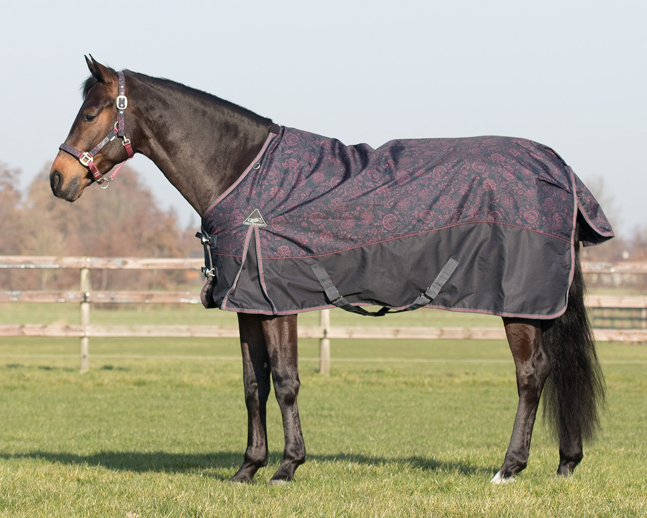 COUVERTURE DE PLUIE DE LUXE 0 GRAMME AVEC DOUBLURE POLAIRE, COUVERTURE À MOTIFS DE CHEVAL ET DE FLEURS