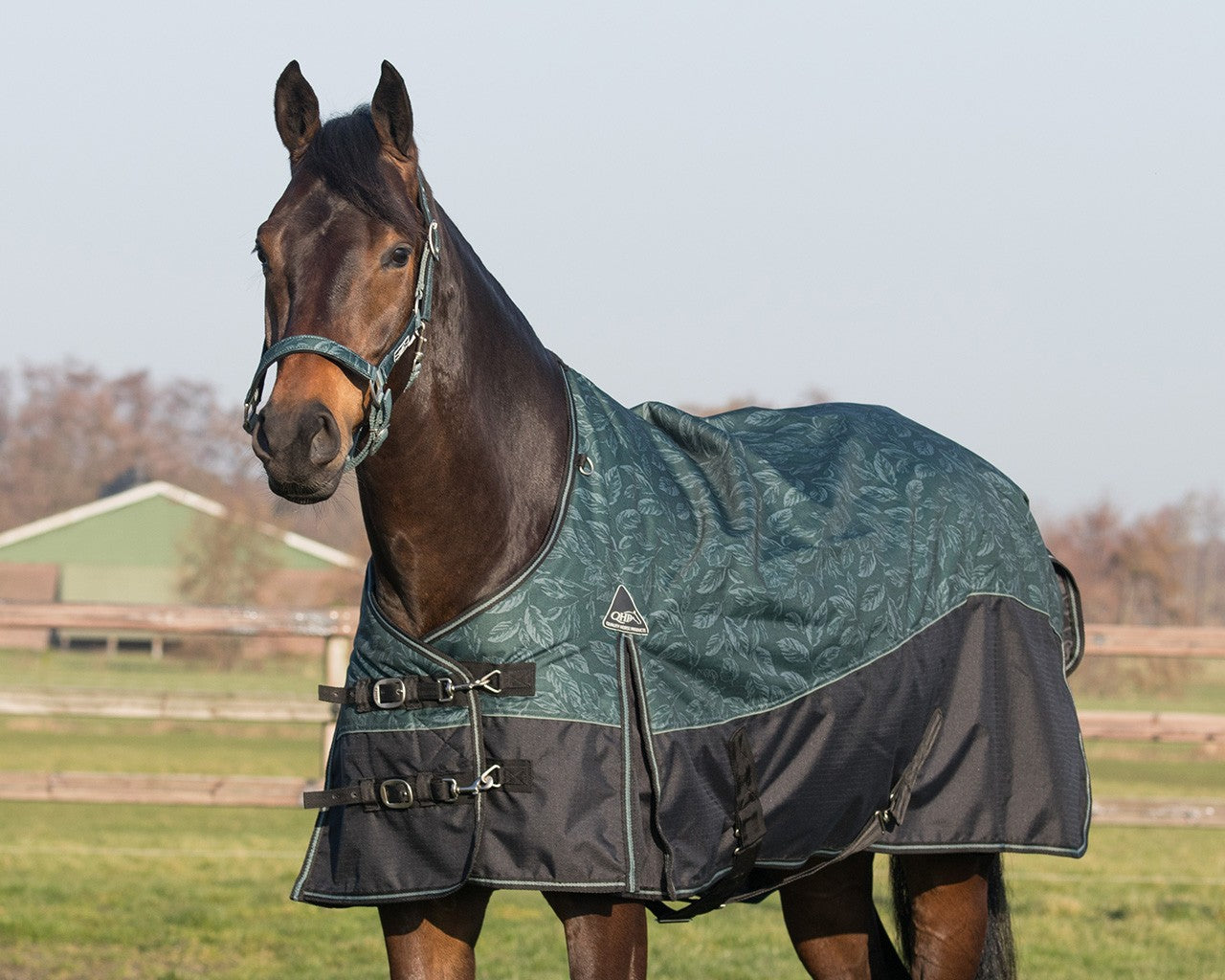 Couverture imperméable de luxe 300 grammes, motif feuilles, pour chevaux