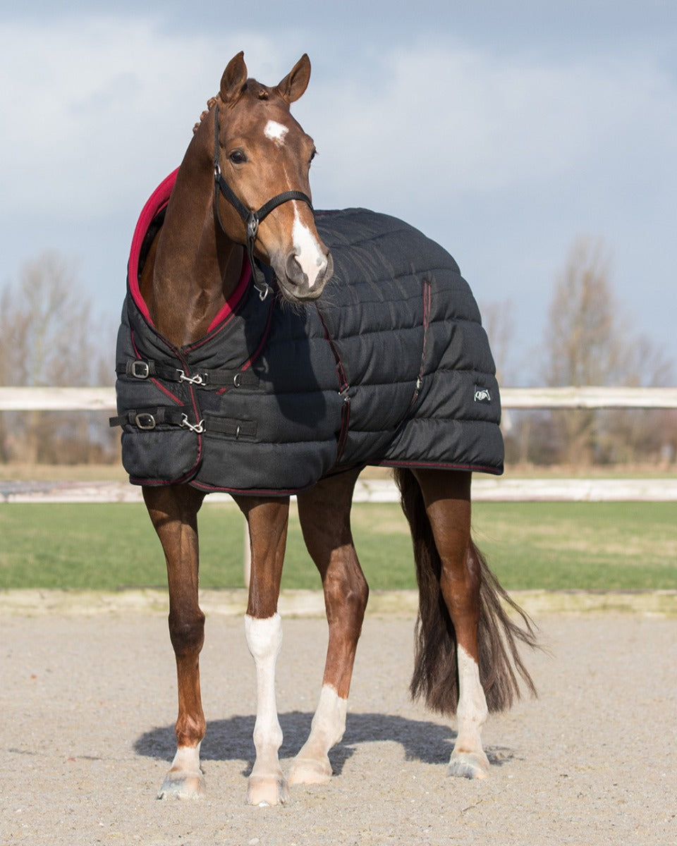 Staldeken luxe Collection 200gr Zwart